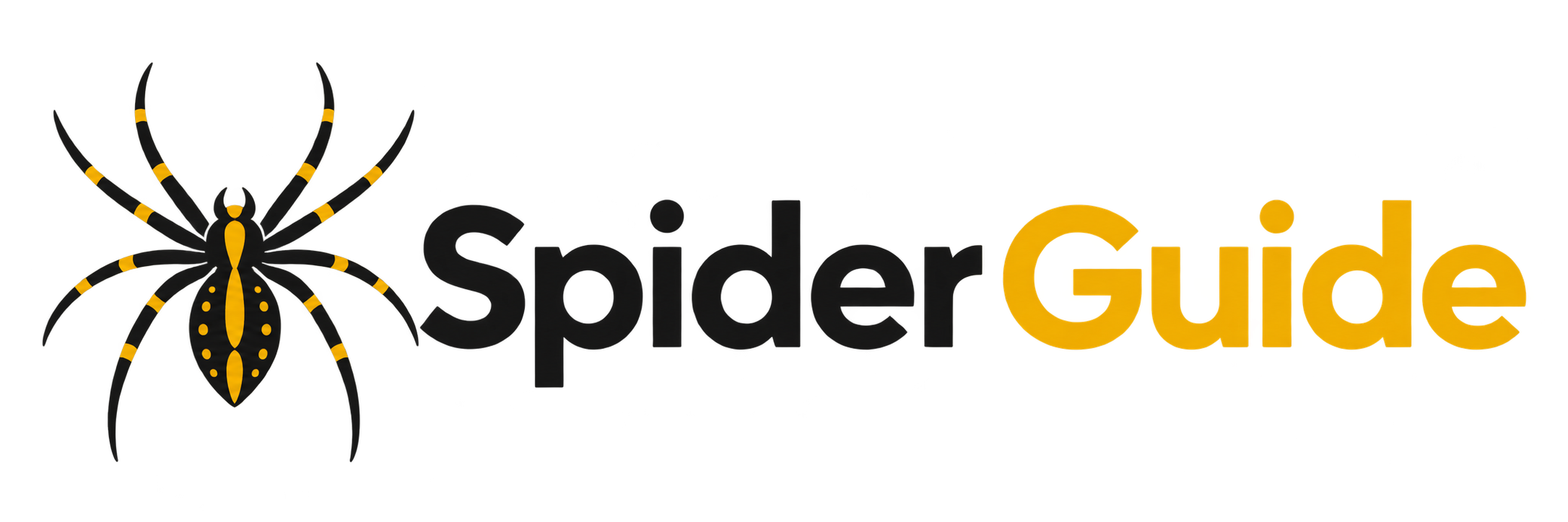 Spiders